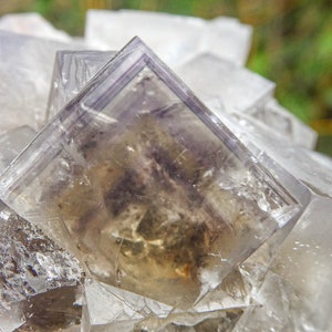 Yellow Fluorite Specimen with Purple Zoning from The Bull Vein, Lady Annabella Mine • Rare Natural Gemmy Crystal Cluster