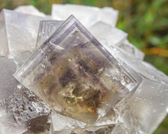 Sherry Twins Pocket Fluorite Lady Annabella Mine UK English