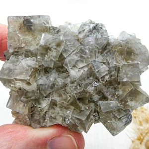 Sherry Twins Pocket Fluorite - Etsy
