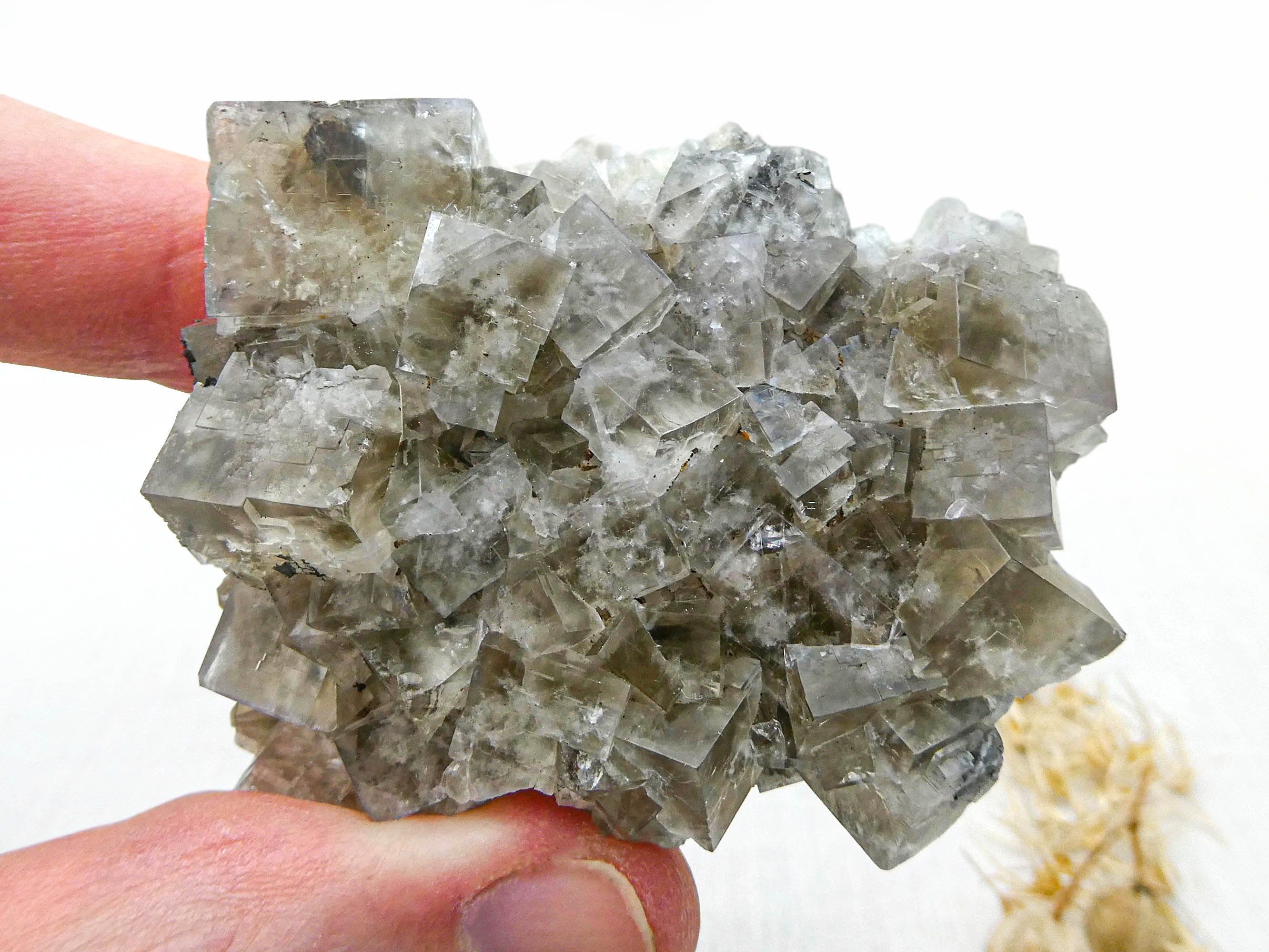 Sherry Twins Pocket Fluorite - Etsy