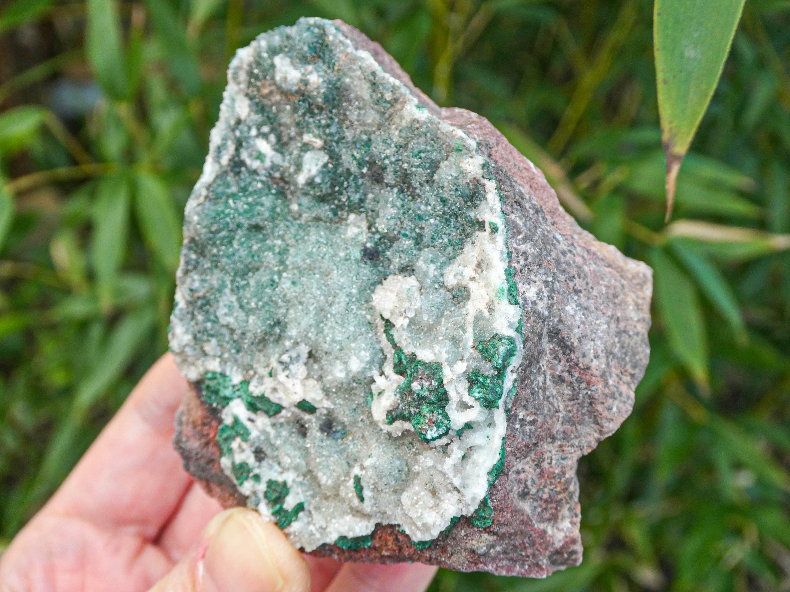 ドゥルージー クリソコラ　マラカイト 共生　原石　コンゴ産 ドゥルージー クリソコラ マラカイト 共生 原石 コンゴ産 クリソコラ