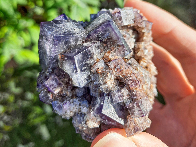 K&ouml;nnte beinhalten: Ein Cluster aus violetten Fluoritkristallen mit kubischer Form. Die Kristalle sind durchscheinend und haben einen leichten Schimmer. Der Fluorit ist in eine Matrix aus braunem und wei&szlig;em Gestein eingebettet.