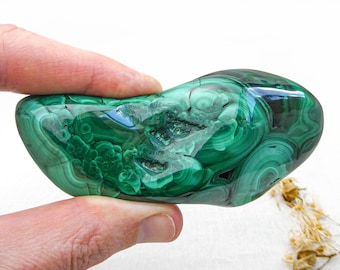Malachite Freeform from DR Congo • Large High Grade Polished Green Crystal • Smooth Palm Stone
