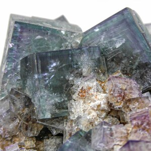 K&ouml;nnte beinhalten: Ein Cluster aus gr&uuml;nen und violetten Fluoritkristallen mit glasartigem, durchscheinendem Aussehen. Die Kristalle sind scharf und gut definiert, mit einer kubischen Form. Der Fluorit ist vor einem wei&szlig;en Hintergrund platziert.