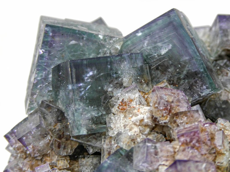 K&ouml;nnte beinhalten: Ein Cluster aus gr&uuml;nen und violetten Fluoritkristallen mit glasartigem, durchscheinendem Aussehen. Die Kristalle sind scharf und gut definiert, mit einer kubischen Form. Der Fluorit ist vor einem wei&szlig;en Hintergrund platziert.