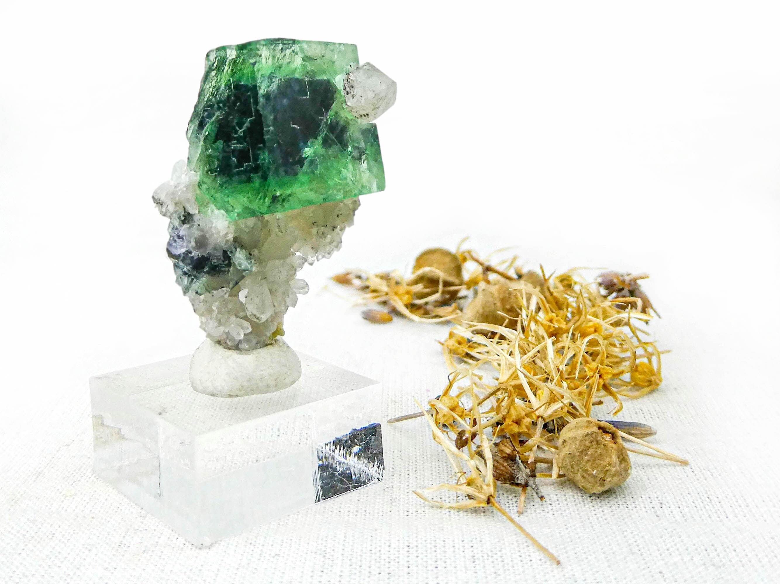 緑色の石英に蛍石 蛍石 William Wise Mine | Supernova Crystal