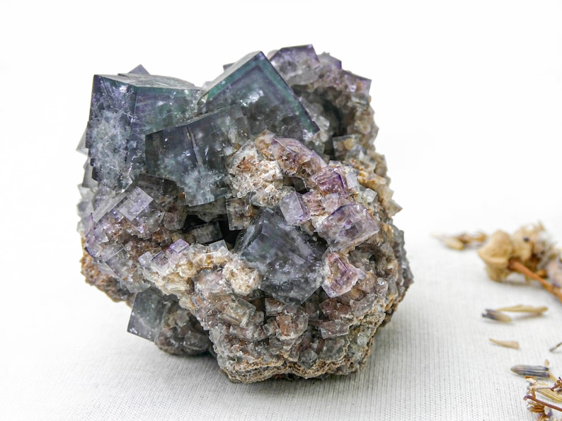 K&ouml;nnte beinhalten: Ein Cluster aus violetten und gr&uuml;nen Fluoritkristallen in einer rauen, braunen Matrix. Die Kristalle sind w&uuml;rfelf&ouml;rmig und haben einen glasartigen Glanz.
