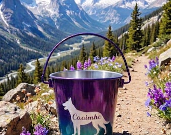 Custom Powder Coated Stainless Steel Water Pails