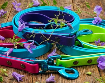 3/4 inch 2 color BioThane leash with Powder Coated Snap