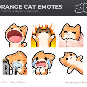 Orange Cat Emotes | 6 Cute Cat emotes for your Twitch, Youtube and/or Discord | CE00201