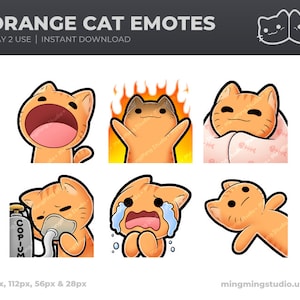 Orange Cat Emotes | 6 Cute Cat emotes for your Twitch, Youtube and/or Discord | CE00301