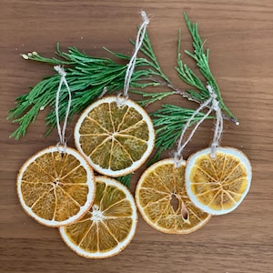 Dried Orange Slice Ornaments | Citrus Ornament | Orange Slice Holiday Ornament | Orange Gift Topper | Orange Slice Christmas Tree Ornament