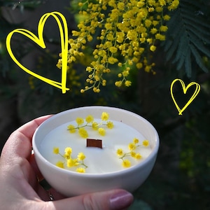 Handgemachte Mimosa-Kerze – Bio-Sojawachs – Blumenduft – Getrocknete Blumen – Keramiktopf – Handgefertigt in Frankreich