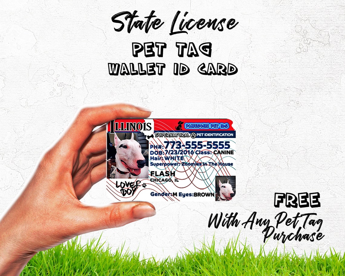 Pet License ID Pet Drivers License Dog State ID Includes Etsy