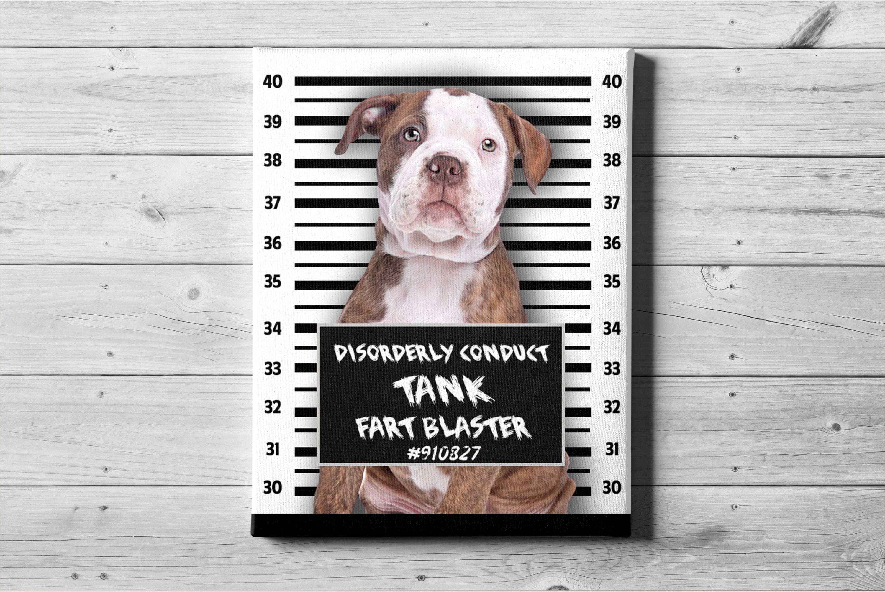 Dog Mugshot Canvas Dog Mug Shot Funny Dog Portrait Custom Etsy