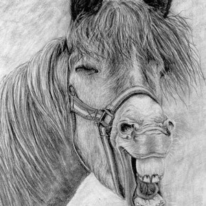 Laughing Horse Graphite Drawing (Unframed)