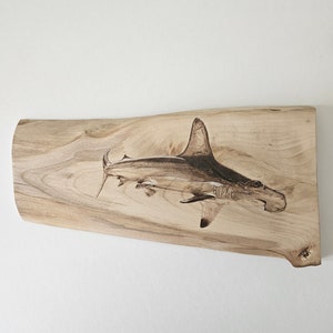 Hammerhead Shark Wood Burning Pyrography Art &quot;Hammerhead&quot;