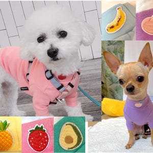 May include: A white dog wearing a pink dog sweater with a matching harness and leash. The image also shows a small brown dog in a purple sweater with a peach patch. Additional patches include a banana, pineapple, strawberry, and avocado.