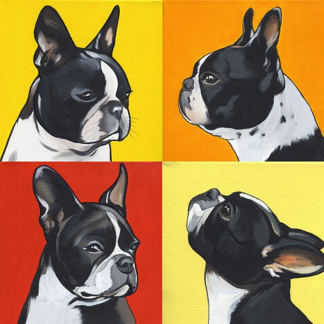 5D DIY 4 Shades of Boston Terrier Diamond Art Painting Kit | Etsy