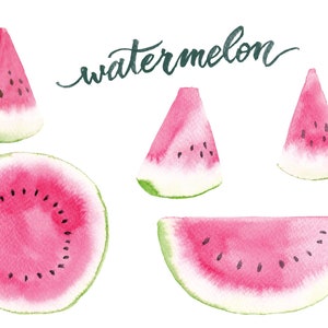 Watercolor watermelon clipart-PNG files,hand painted,Summer Fruits