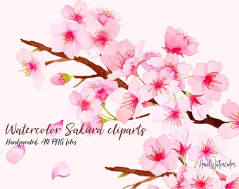 Aquarel Sakura Clipart, png bestanden, handgeschilderd, kersenbloesem, gouden helm