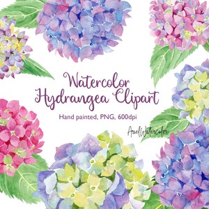 Watercolor Hydrangea Clipart, PNG files, Hand painted, 600dpi, border, frame, wedding card