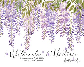 Clipart aquarel blauweregen, png, bloemstukken, randen, lentebloem