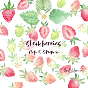 Watercolor Strawberries clipart, frames, png files
