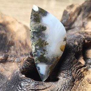 Scenic Moss Agate Cabochon Gem Stone