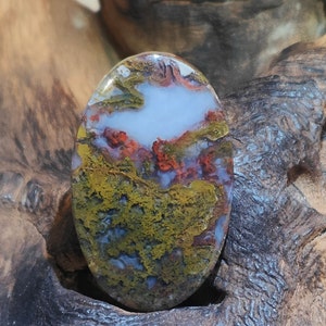 Może przedstawiać: Polerowany owalny agat o unikalnym wzorze w kolorze zielonym, czerwonym i białym. Kamień ma mętny, prześwitujący wygląd.