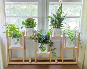 木製植物スタンド｜室内植物スタンド｜モダンな植物ディスプレイ｜杉材の植物台｜自立式植物棚｜多段式棚
