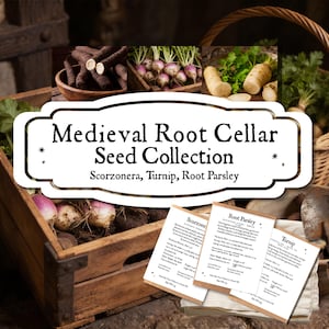 May include: A Medieval Root Cellar Seed Collection featuring three informational cards for Scorzonera, Turnip, and Root Parsley. The collection includes a wooden crate filled with various root vegetables, a woven basket, and a small metal garden trowel.