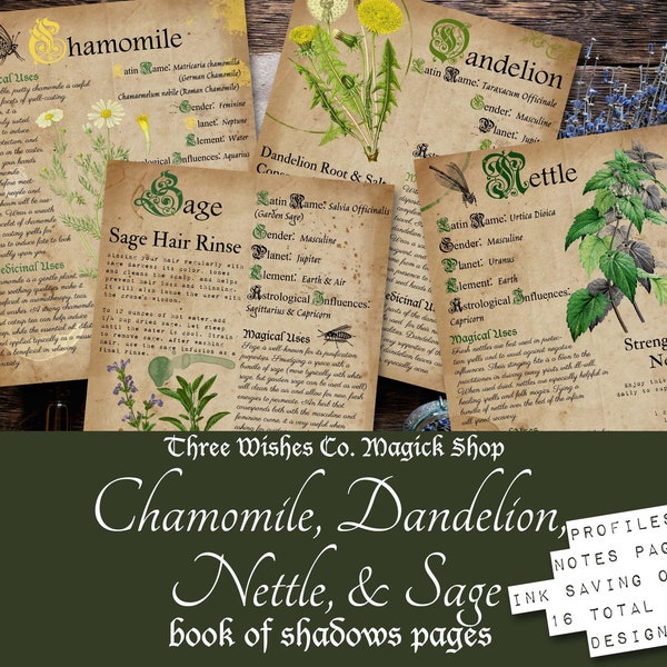 Herb Book of Shadows Pages, Pagan Printable, Herb Printable, Green Witch, Grimoire Pages, Plant Meanings, Herbalism, Nettle, Witch Printable