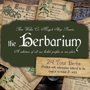 Herbarium, 24 druckbare Kräuter-Profile, Buch der Schattenseiten, Kräuterkorrespondenz, Grimoire, Pflanzen bedeutungen, Kräuterkunde, Hexe druckbar