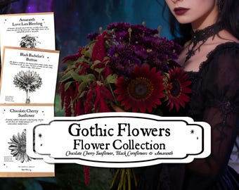 Gothic Flower Seed Collection: Amaranth, Black Sunflower, Cornflowers