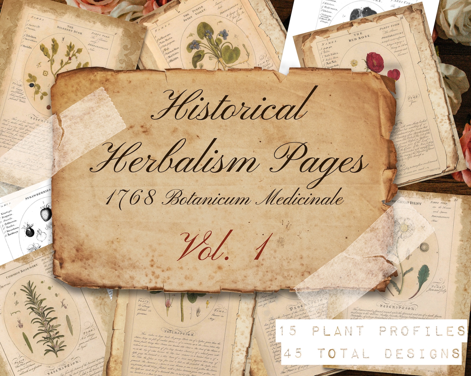 Vintage Herbal Herbalism Resources Herbalism Print Green Etsy