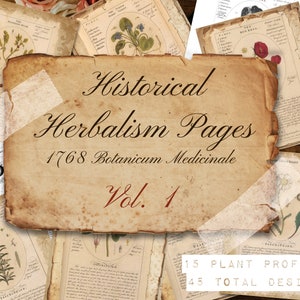 Ervas Vintage, Recursos de Herbalismo, Impressão de Herbalismo, Bruxa Verde, Páginas de Grimório, Significados de Plantas, Herbalismo, Herbalista, Presentes de Herbalismo