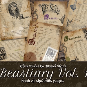 Könnte beinhalten: Eine Sammlung von Seiten im Vintage-Stil aus einem Schattenbuch mit Illustrationen von Engeln, Feen, Dämonen, Vertrauten und anderen mythischen Kreaturen. Die Seiten sind gealtert und abgenutzt, mit einem braunen und cremefarbenen Farbschema. Der Titel des Buches lautet "Bestiarium Band 1: Seiten des Schattenbuches".