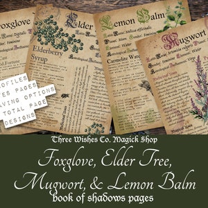 Páginas do Livro das Sombras de Ervas, Pagão para Impressão, Ervas para Impressão, Bruxa Verde, Páginas de Grimório, Significados de Plantas, Herbalismo, Bruxa para Impressão