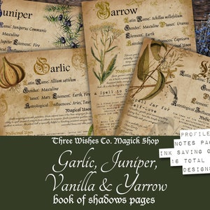 Garlic, Juniper, Vanilla, Yarrow, Printable Herb Profiles, Book of Shadows Pages, Grimoire Pages, Plant Meanings, Herbalism, Witch Printable