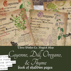 Druckbare Kräuter-Profile, Buch der Schattenseiten, Kräuterkorrespondenz, Grimoire-Seiten, Pflanzenbedeutungen, Kräuterkunde, Thymian, Hexe druckbar