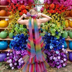 Rainbow Tulle Mermaid Dress image 3