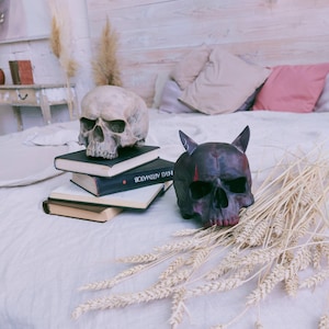 Full Sized Skull Replica Prop, Cosplay Prop, Halloween Decoration, Fantasy Scull- In Stock