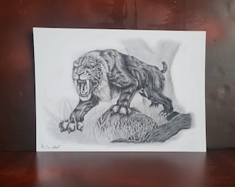 Sabre-Toothed Tiger- A4 pencil illustration print