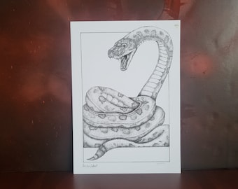 Snake (titanoboa) - A4 illustration print