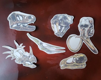 prehistoric skull stickers