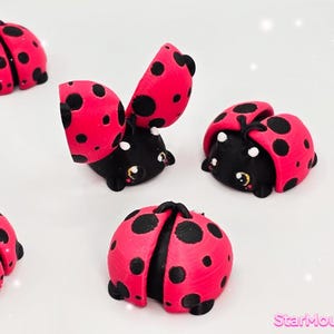 Op de afbeelding: Een set van zes roze en zwarte lieveheersbeestjesfiguren. Sommige lieveheersbeestjes zijn gesloten, terwijl andere open zijn om een ​​zwart lichaam met witte ogen te onthullen.