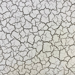 May include: White background with a cracked pattern in black. The cracks are thin and create a web-like design.