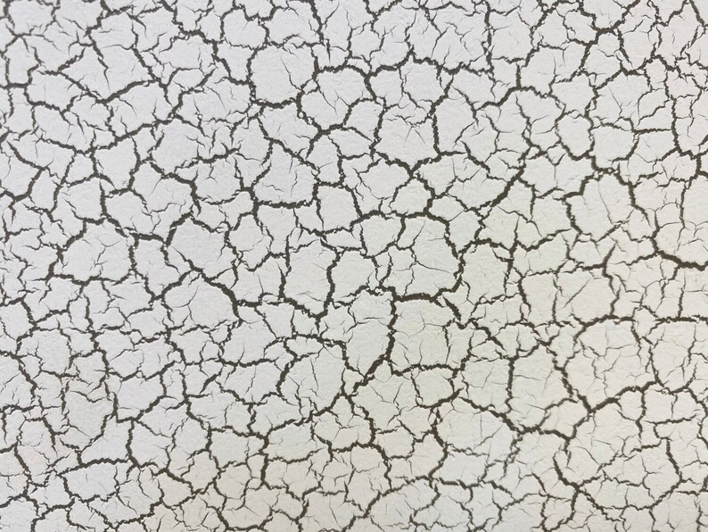 May include: White background with a cracked pattern in black. The cracks are thin and create a web-like design.
