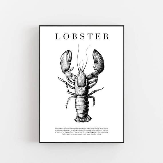 Lobster Art Vintage Sea Food Poster Sea Food Print - Etsy
